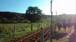 CORRIDA DE ARGOLINHA DO BARROSO 2011 [upl. by Atnahsa]