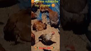 The Future of Poultry Farming Unicqe chicken house69 [upl. by Notsirt]