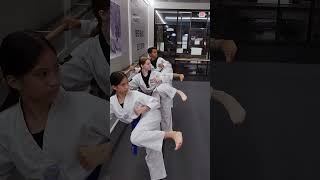 Side Kick Training taekwondo shorts [upl. by Enyaz]