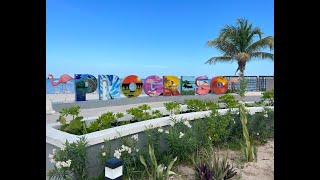 Progreso Mexico Cruise Port 5 Minute Review [upl. by Aisyle]