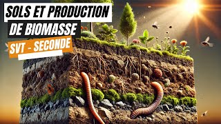 Sols et production de biomasse  SVT seconde [upl. by Kcered]