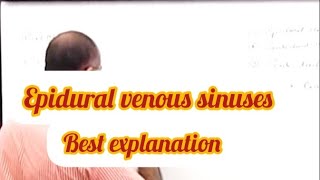 Epidural venous sinuses anatomy medical mbbs bds trending viralvideo [upl. by Aivull]