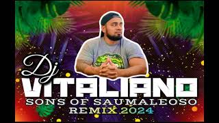 DJ VITALIANO X Tofaga Meke ft Uso Mikey  o ai na ole matagi REMIX 2024 [upl. by Emmalynne]