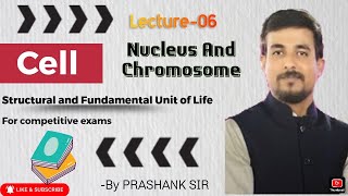 The cell Nucleus chromatin and chromosome [upl. by Allesiram]