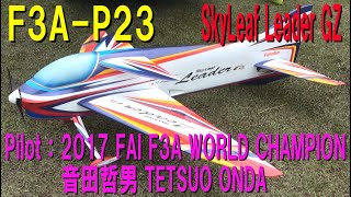 SkyLeaf Leader GZ F3AP23【ラジコン飛行機】 [upl. by Moishe]