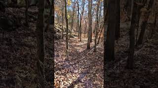 Along the Chinquapin Trail [upl. by Wilkens]