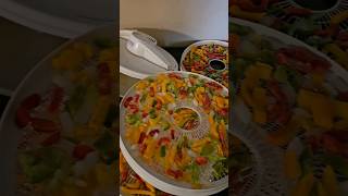 Day 2 Of Food Dehydrator Testing FajitaBlend [upl. by Ardolino]