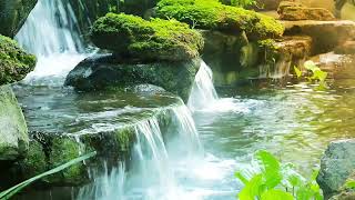 8 Hours Relaxing Waterfall Sounds For SleepPeaceful Ambiance for SpaYoga amp Relaxation waterfall [upl. by Llij]