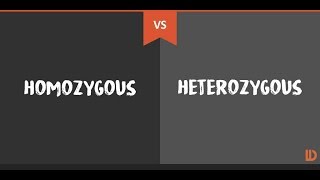 HOMOZYGOUS vs HETEROZYGOUS POPULATIONS  PLANT SCIENCE  PLANT BREEDING  BY AGRICARE AS [upl. by Neu]