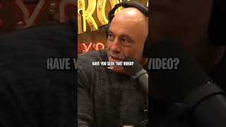 Joe Rogan Reacts to Pierre Poilievre Apple Interview [upl. by Hterag500]