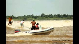 Selancar Ombak Bono Kampar  Bono Waves Kampar River Surfing [upl. by Halfon]