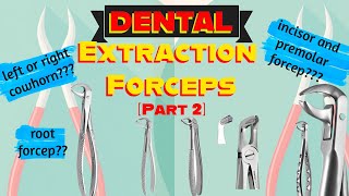 Mandibular Extraction Forceps Instruments Identification for Oral Surgery Practical Exam Part 2 [upl. by Iren174]