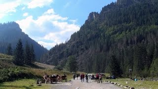 Dolina Kościeliska Koscieliska Valley Tatry Zakopane Polska  Poland [upl. by Brewster721]