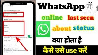 what is last seen online about and status in your WhatsApp  how yo set new setting in your WhatsApp [upl. by Woo660]