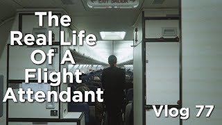 The quotReal Lifequot of a Flight Attendant  Vlog 77  28 MINUTE FLIGHT [upl. by Conlon]