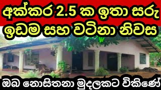 අක්කර 2 12 ක විශාල ඉඩම හා නිවස ඔබ නොසිතනා මුදලකට  Pol idam  Land for sale  Coconut land  Lands [upl. by Ttergram]