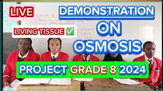 How To Demonstrate Osmosis In Living TissuesScience Grade 8 Project 2024 [upl. by Enattirb941]