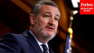 A Steaming Pile Of Crap Ted Cruz Says Bipartisan Border Bill Codifies Joe Bidens Open Borders [upl. by Harihs]