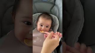 5个月宝宝吃果泥❤️吃三勺喝一次水❤️5monthold baby eats fruit puree eats three spoons and drinks water once [upl. by Dranel]