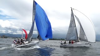 Melges 24 Sailing  Boats [upl. by Yuht]