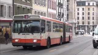 tpg Genève NAWHess und SaurerHess Trolleys März 2014 [upl. by Enimisaj136]