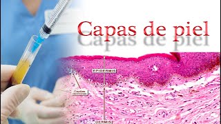 Las Capas de la piel Epidermis Dermis [upl. by Etiam]