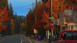 Autumn in a small mountain town  Fall colors  no talking [upl. by Adnorahs]