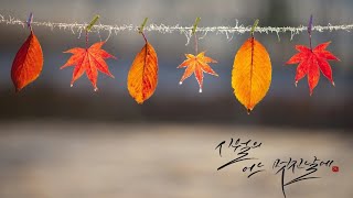 🌱변하는것과 변하지 않는 것을 구분한다면 인생 여정이 행복하지 않을까요 [upl. by Eniluqaj70]