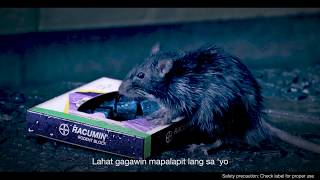 Racumin Rodent Block Video Basang Basa [upl. by Ringsmuth328]