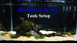 Neocaridina Shrimp Tank Setup  Blue Dream  Nano Tank [upl. by Lemcke]