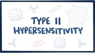 Type II hypersensitivity cytotoxic hypersensitivity  causes symptoms amp pathology [upl. by Atinra]