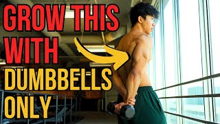 The ONLY 3 Tricep Exercises You NEED for BIGGER Triceps DUMBBELL ONLY [upl. by Ahmar]