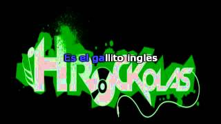 Zurdok  Gallito ingles HRockolas [upl. by Tobin]