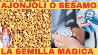 AJONJOLI una semilla mágica para la salud  Beneficios y propiedades del ajonjolí o sésamo [upl. by Fania]