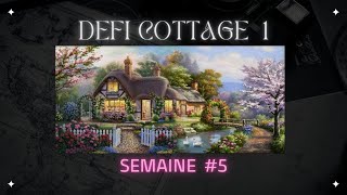 Défi Cottage 1  Semaine 5 crossstitch vipcrossstitch pointdecroix puntodecruz kreuzstich [upl. by Morell]