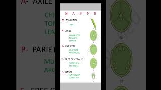 Placentation In Flowering plants ☘️ Morphology neet board [upl. by Zimmer746]