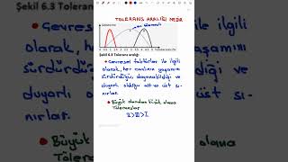 Tolerans hoşgörü aralığı sıfır tolerans [upl. by Odnavres]