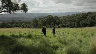 People Linking Landscapes [upl. by Clarice]