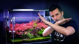 AQUARIUM UPDATE  MAKE YOUR PLANTED TANK BETTER IN MINUTES [upl. by Ayt58]