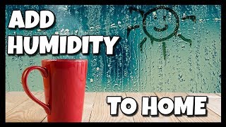 How To Add Humidity To Your Home 📍 How To With Kristin [upl. by Nyrehtak]