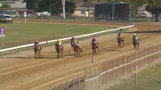 Bundaberg 20240831 Race 5 [upl. by Collyer]