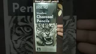 Brushtro woodless charcoal pencil unboxing 3soft pencil 2medium pencil 1hard pencil art pencil [upl. by Samford]