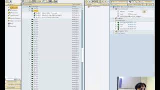 DataStore Object and InfoCube [upl. by Sardella]