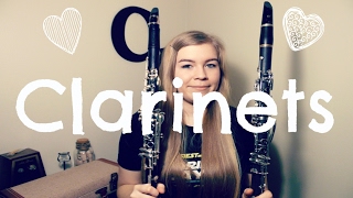 All of My Clarinets Updated [upl. by Nosnej703]