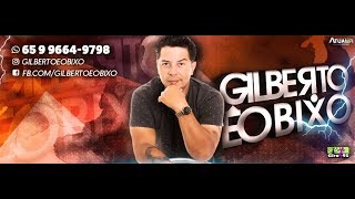 Live DJ Gilberto Bixo Especial Netinho Competition [upl. by Aedrahs]