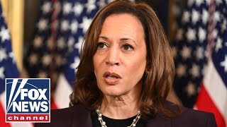 Democrat accuses campaign for ‘cocooning’ Kamala Harris This is ‘red meat’ for GOP [upl. by Ahcsas8]