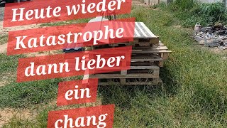 Update Reisfarm der ganz normale Wahnsinn Darauf ein chang Bier Prost [upl. by Inkster]