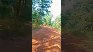 Onakona trip travel bikes nature reels shorts vnvideoeditor smile bmwm3 gtr35 [upl. by Palestine]