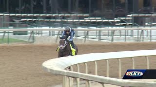 Kentucky Derby favorite Fierceness goes through final major prerace workout [upl. by Andrew155]