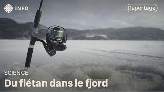 Du flétan dans le fjord  La semaine verte [upl. by Eicnan]